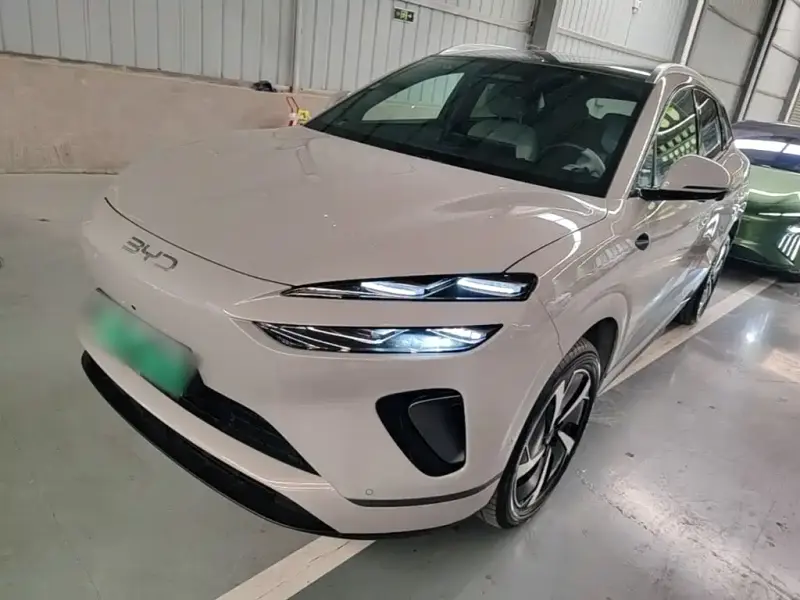 BYD Sea Lion 06