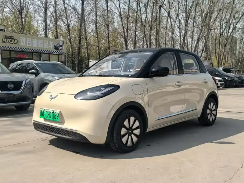 Wuling Bingo