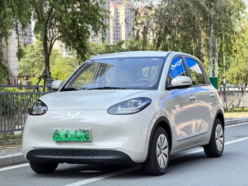 Wuling Bingo