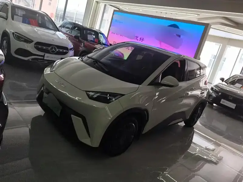 BYD Seagull