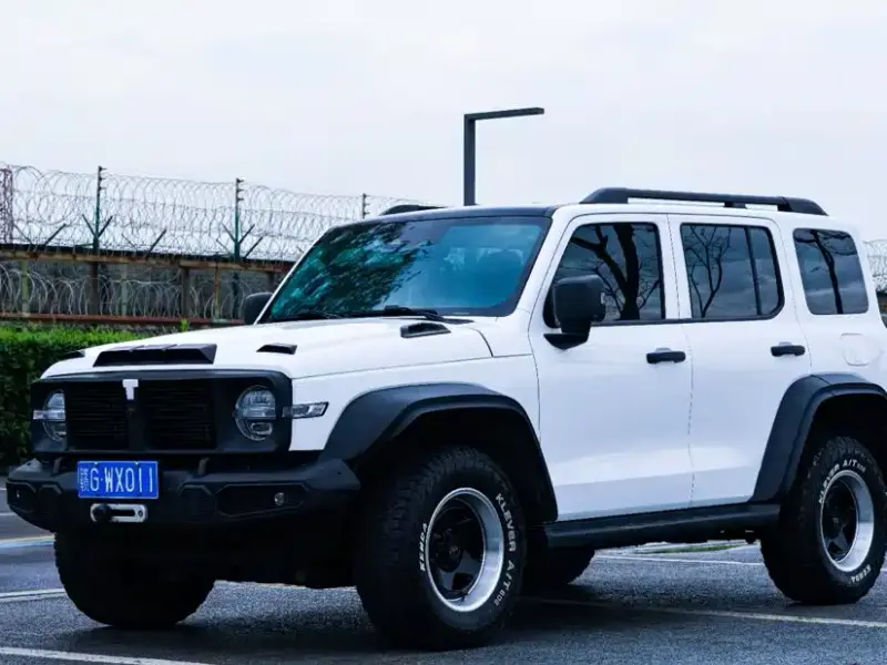 Tank 300