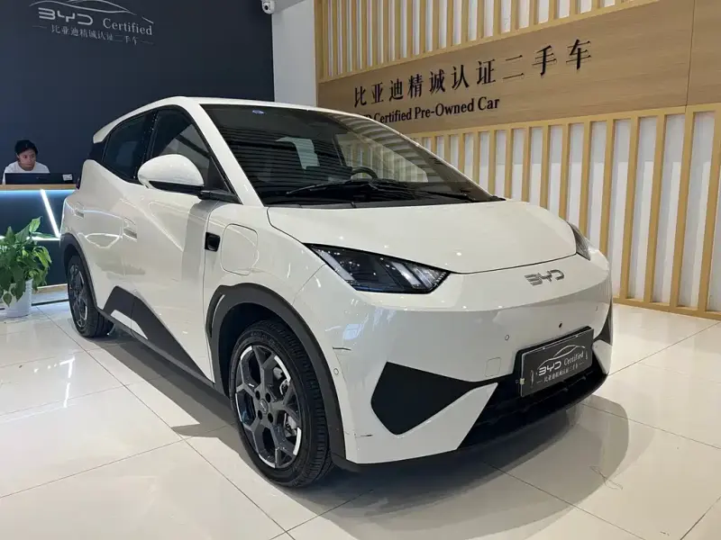 BYD Seagull