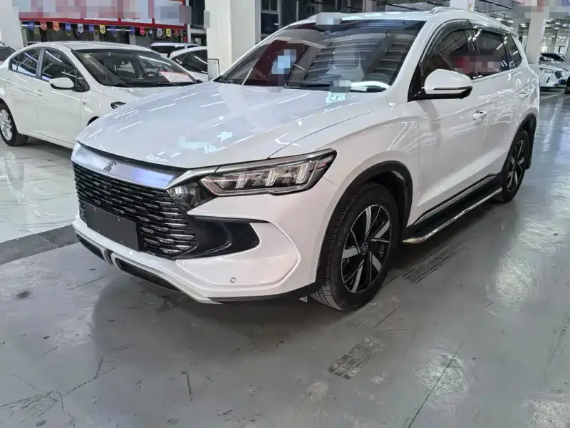 BYD Pro New Energy