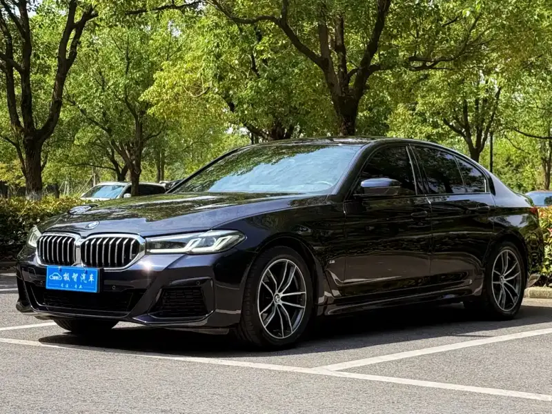 BMW 5 Series (Import)