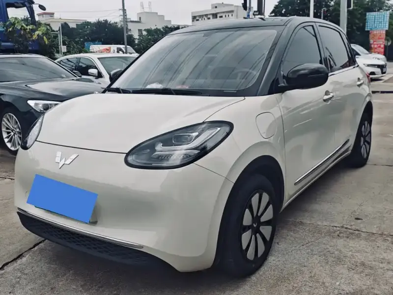 Wuling Bingo