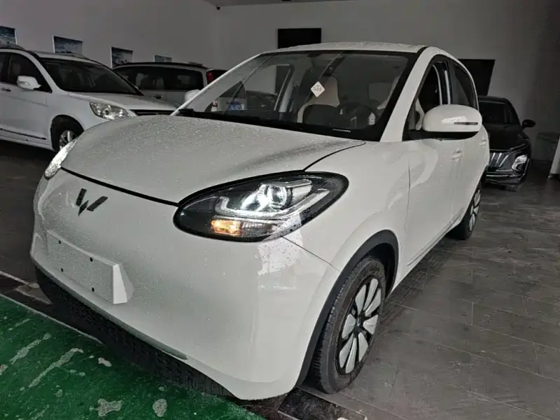 Wuling Bingo