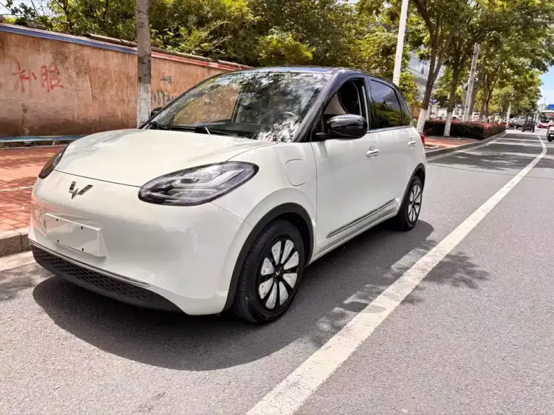 Wuling Bingo