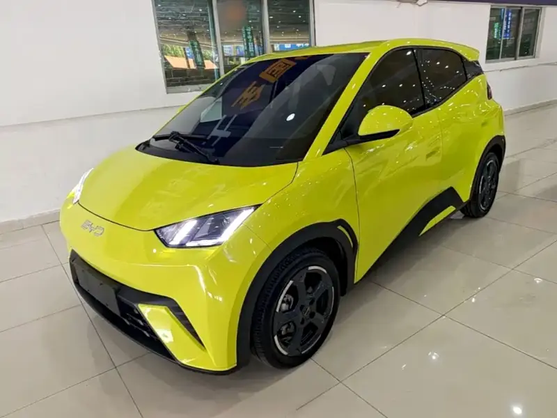 BYD Seagull