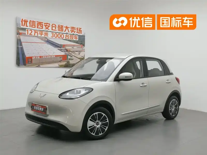 Wuling Bingo