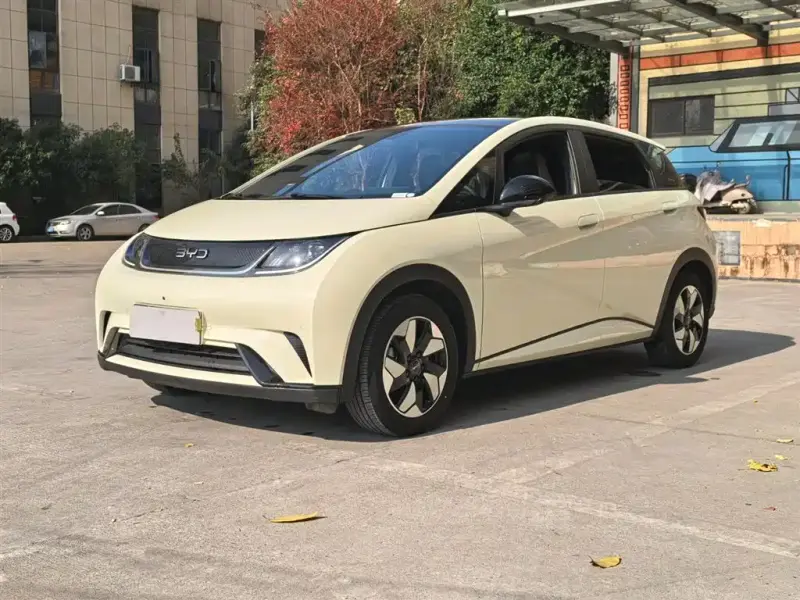BYD Dolphin