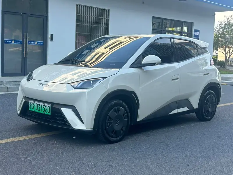 BYD Seagull