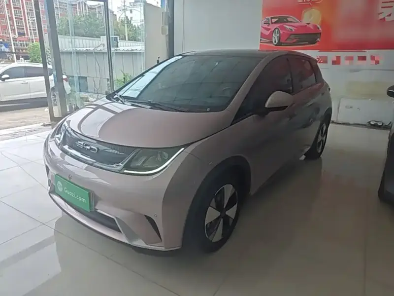 BYD Dolphin