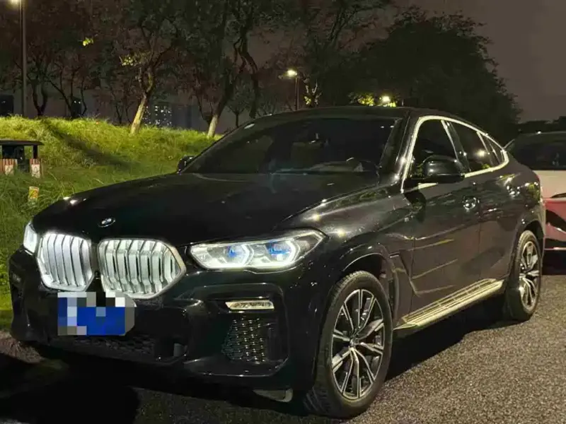 BMW X6