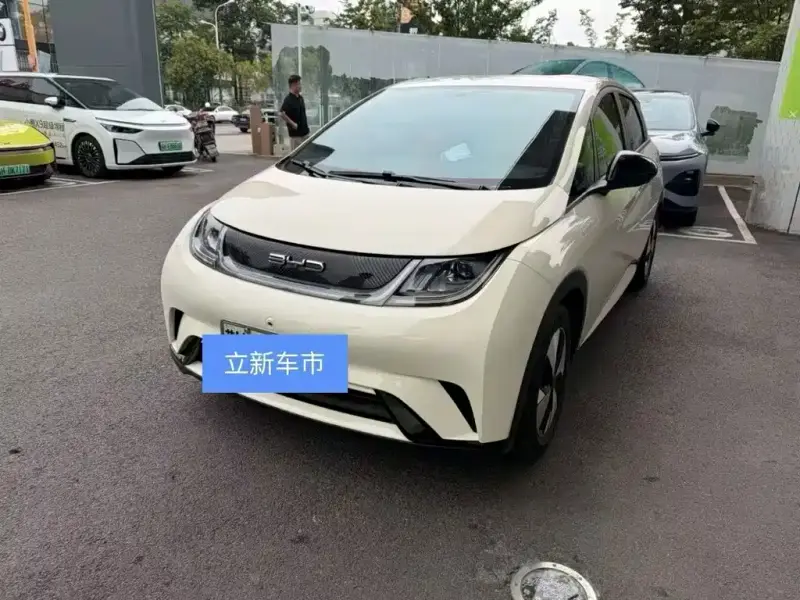 BYD Dolphin