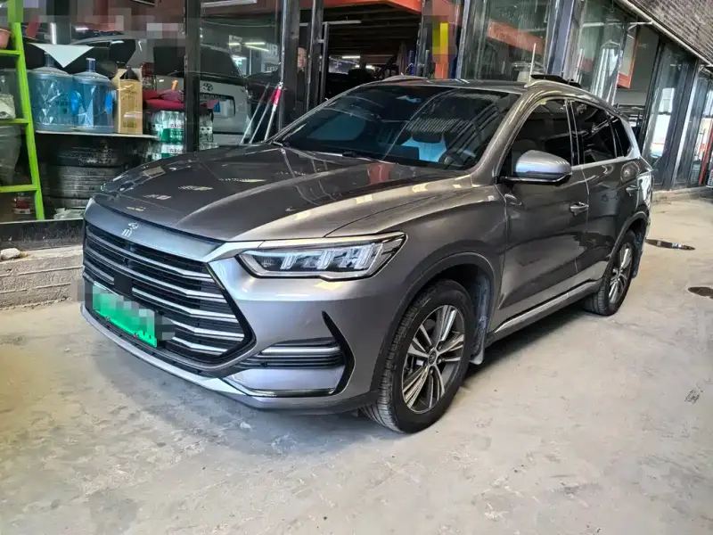 BYD Pro New Energy