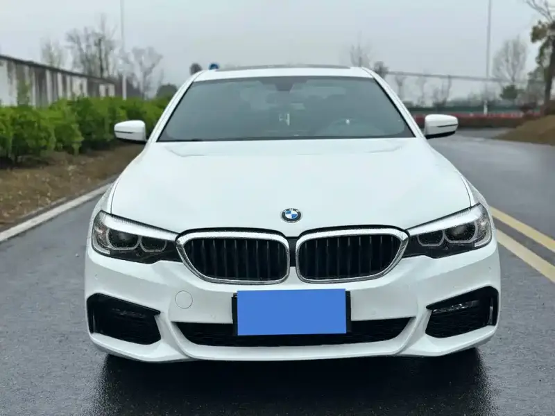 BMW 5 Series (Import)