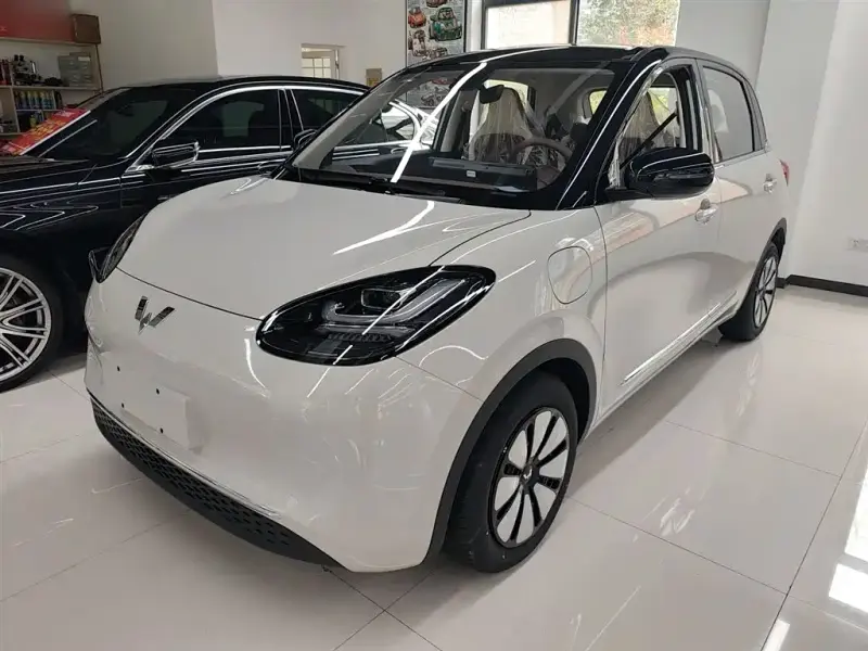 Wuling Bingo