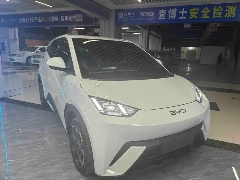 BYD Seagull