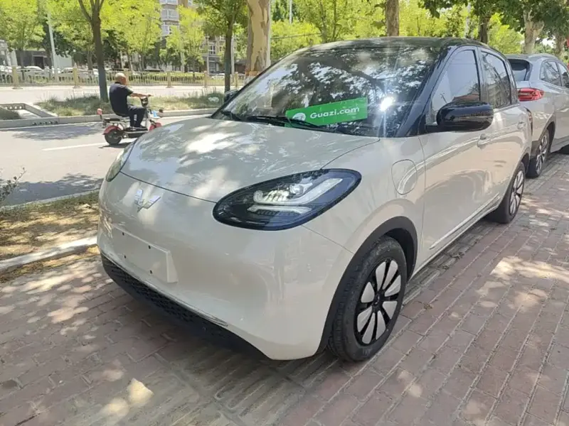 Wuling Bingo