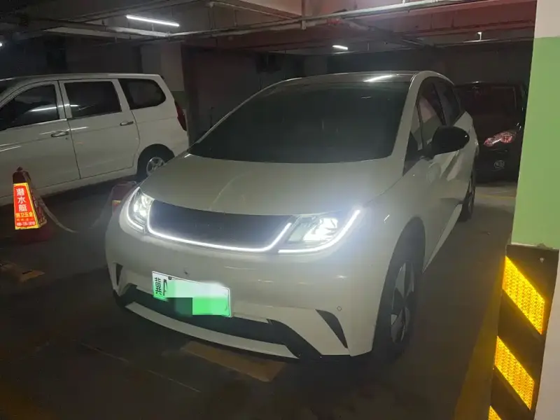 BYD Dolphin
