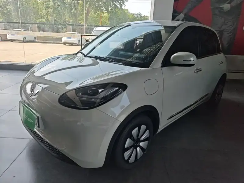 Wuling Bingo