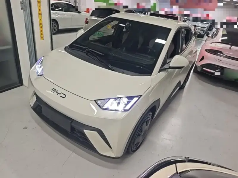 BYD Seagull