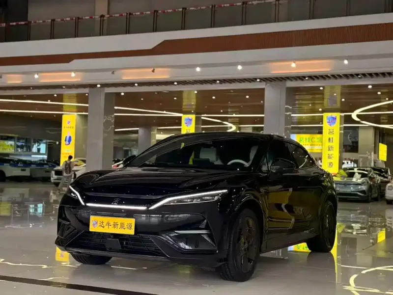 BYD L EV