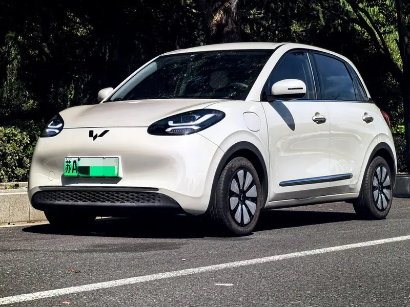 Wuling Bingo