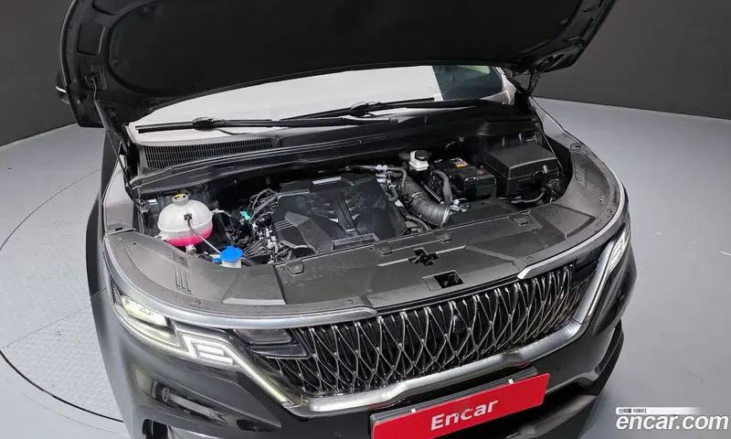 Kia Carnival (Canival)