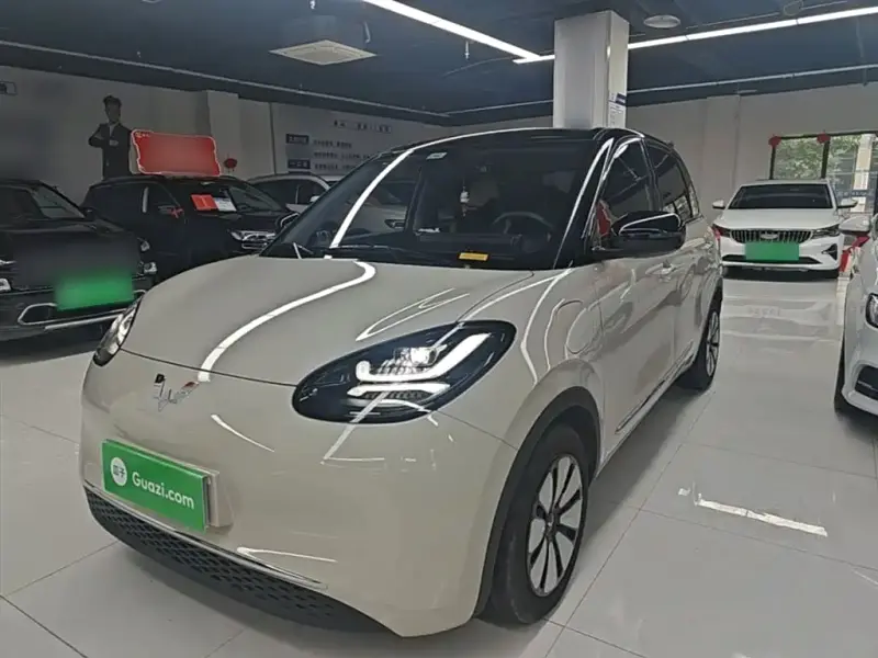 Wuling Bingo