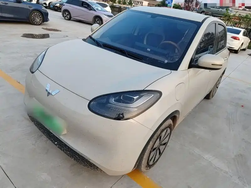 Wuling Bingo