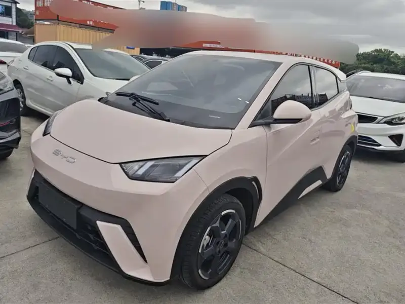 BYD Seagull