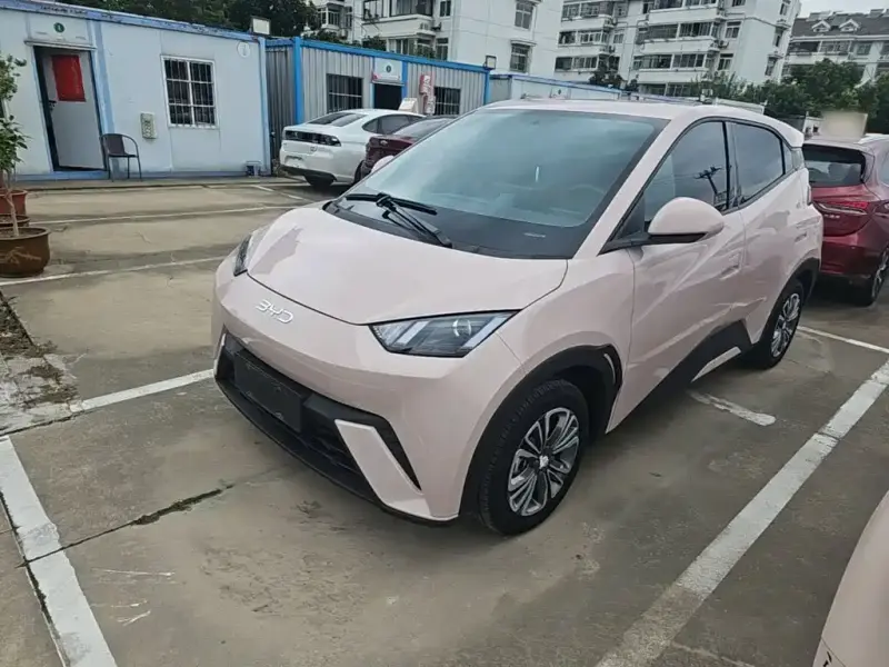 BYD Seagull