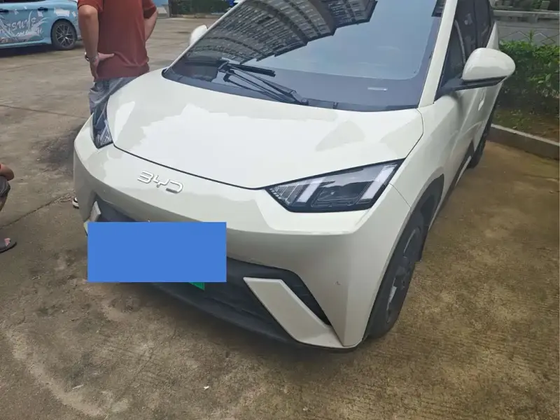 BYD Seagull
