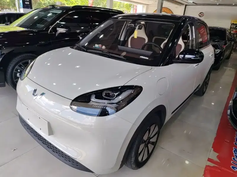 Wuling Bingo