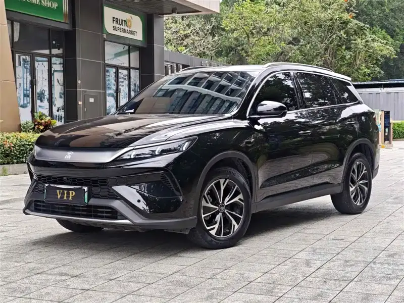 BYD Pro New Energy