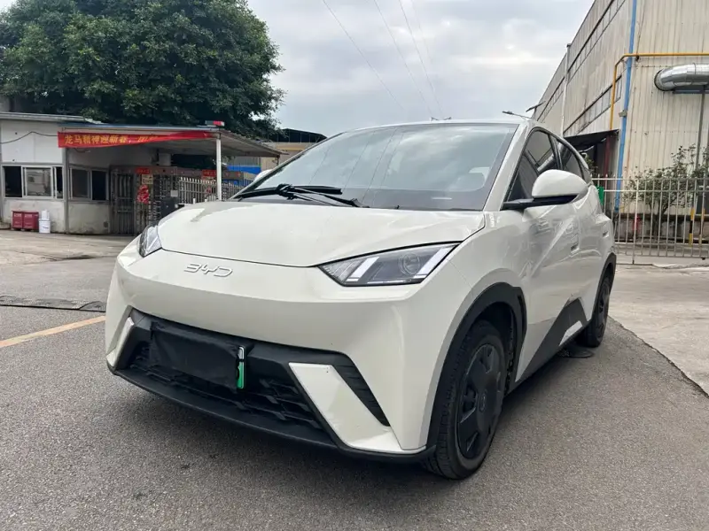 BYD Seagull
