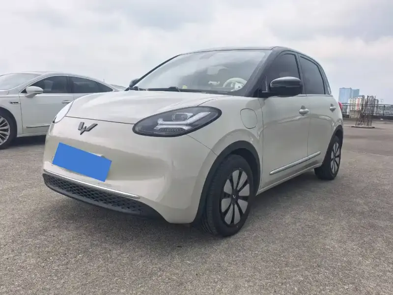 Wuling Bingo