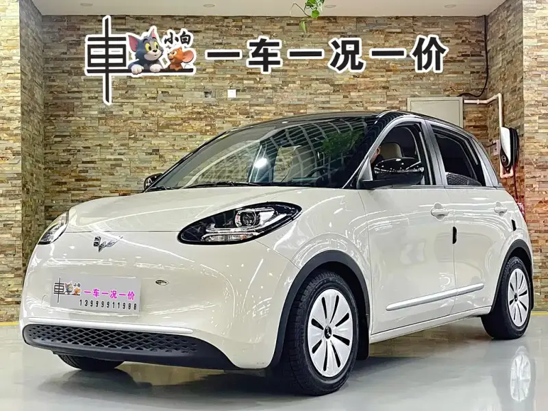 Wuling Bingo