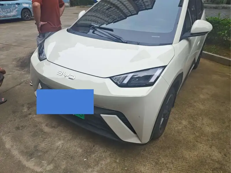 BYD Seagull