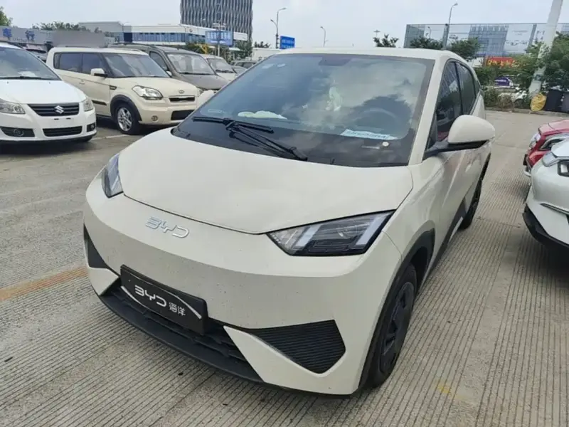 BYD Seagull
