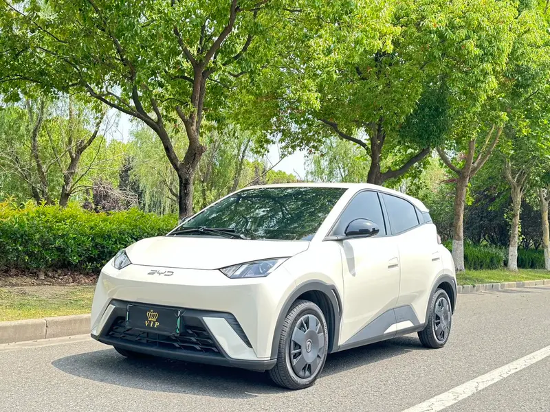 BYD Seagull