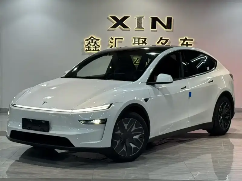 Tesla Model Y L