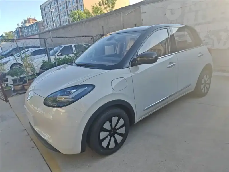 Wuling Bingo