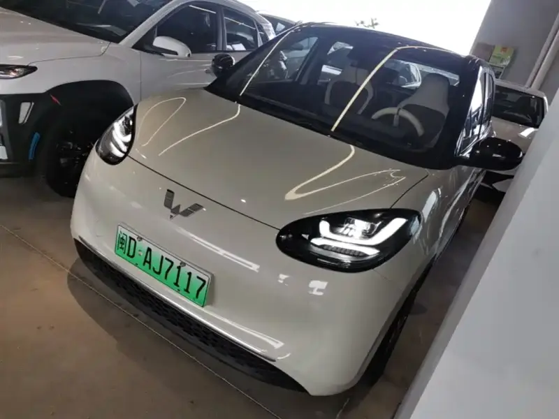 Wuling Bingo