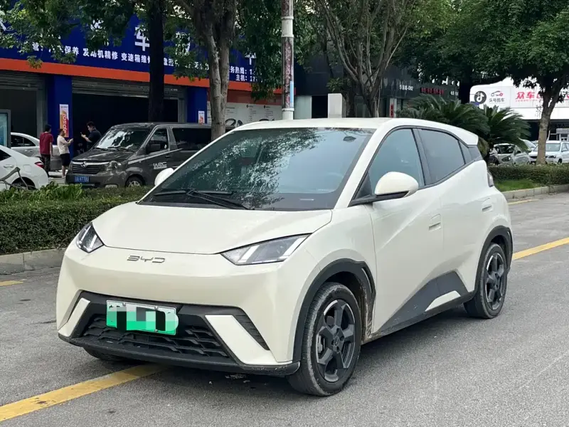 BYD Seagull