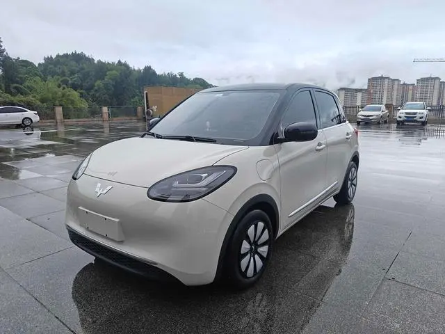 Wuling Bingo