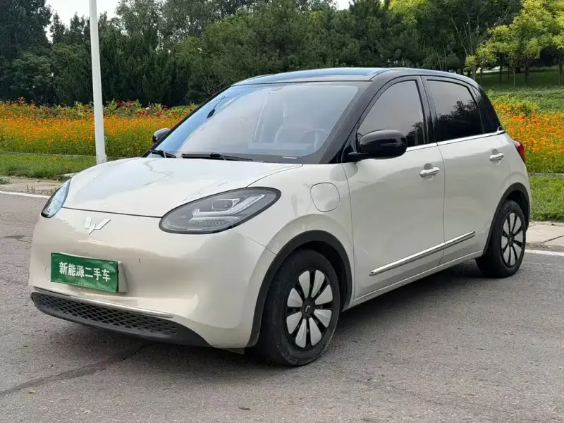 Wuling Bingo