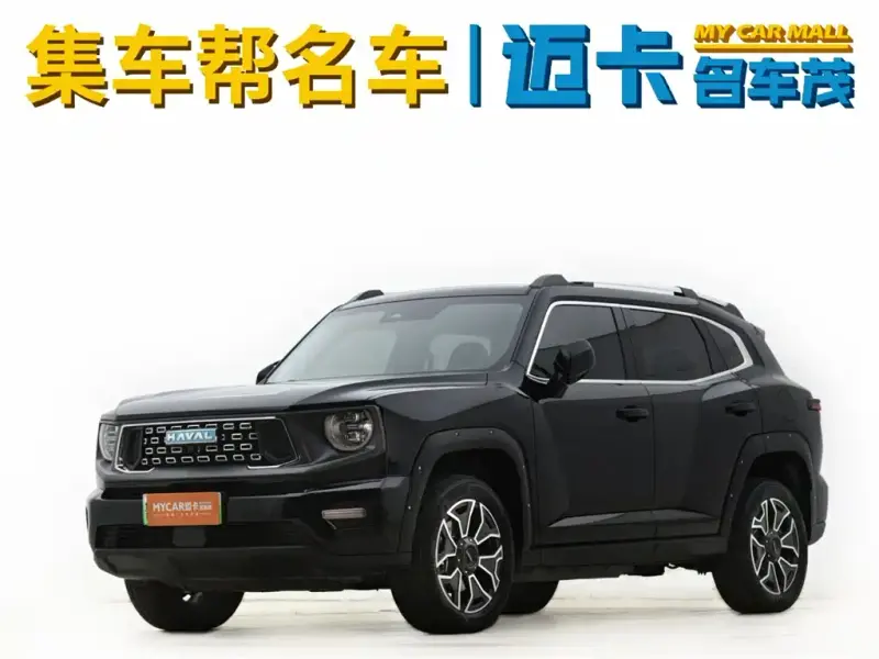 Haval Dargo PLUS NEV