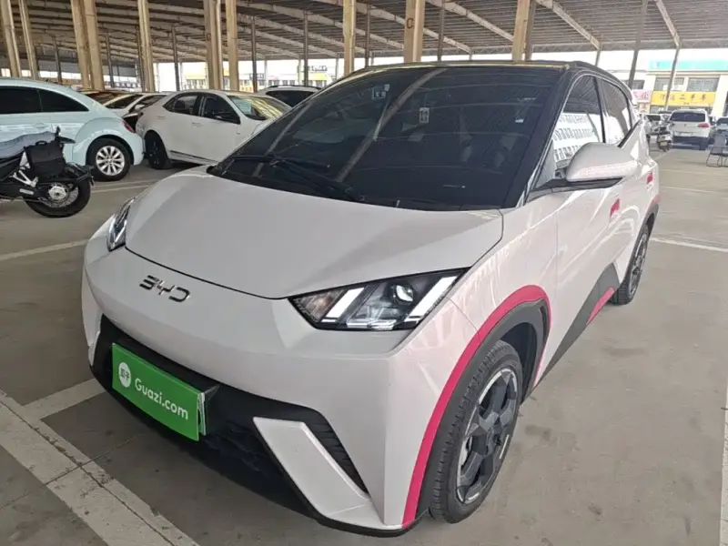 BYD Seagull